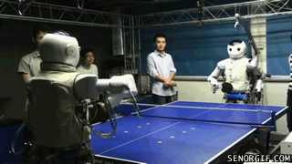 cheezburger robots table tennis