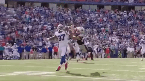 new england patriots julian edelman