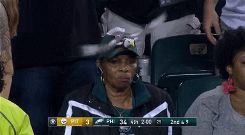 nfl philadelphia eagles fan