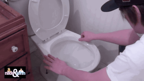 prank toilet