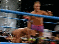 pro wrestling spears goldberg