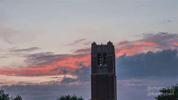 uf gators university of florida go