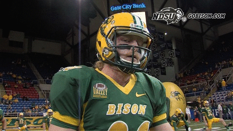 ndsuathletics bison ndsu north dakota state