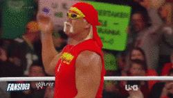 hulk hogan