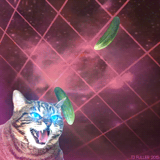 cat lasers cucumber