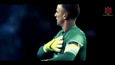 manchester city hart joe