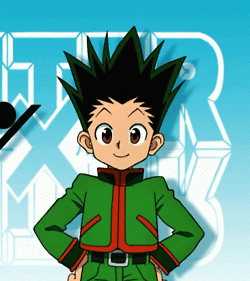 anime gif hunter x
