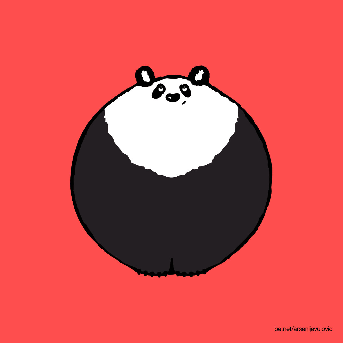 animation panda pandas