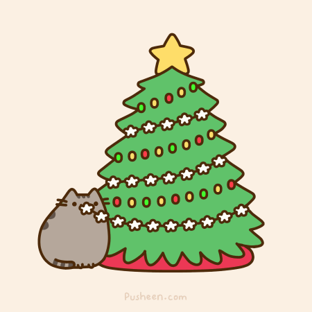 cat christmas fat