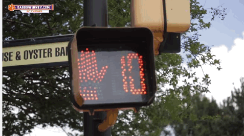 football tigers clemson