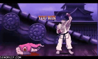 cheezburger video games punch street fighter