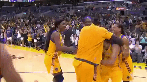 wnba basketball top plays