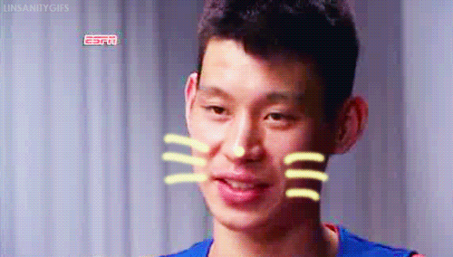 cat animal jeremy lin