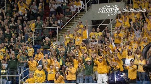 ndsuathletics bison ndsu north dakota state