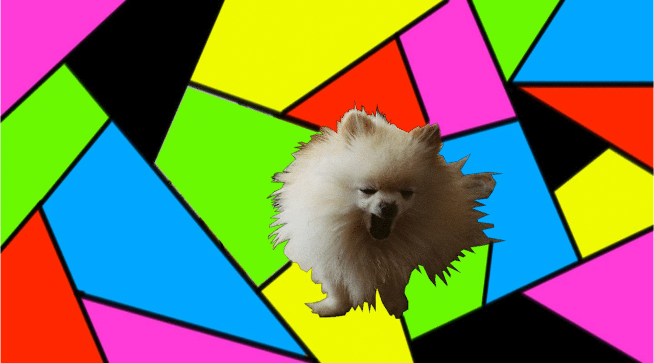 dog roll over shreddy