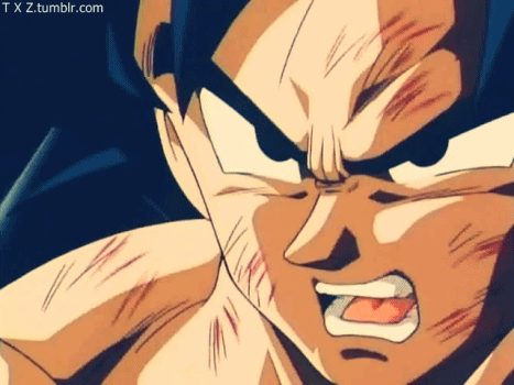 photoset dragon ball z