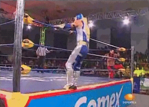 pro wrestling aerostar