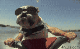 week magnolia blowouts