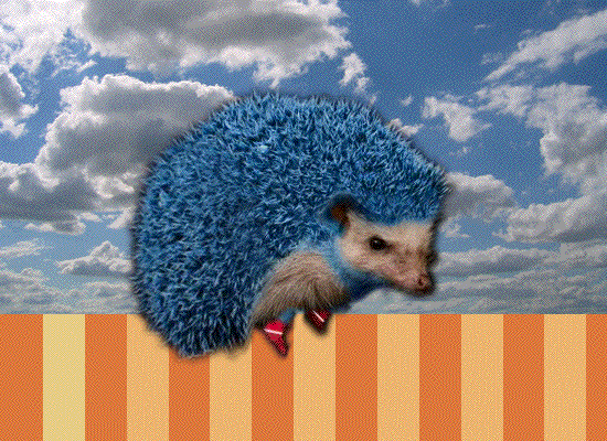 funny video games wtf