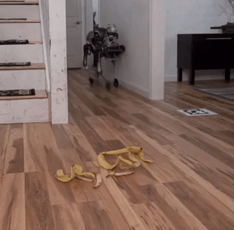 robot slip banana peel