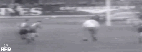 football soccer world cup