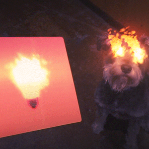 motionaddicts dog fire flame