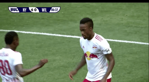 newyorkredbulls