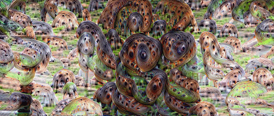 art music video tech