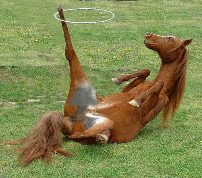 horse trick hula hoop