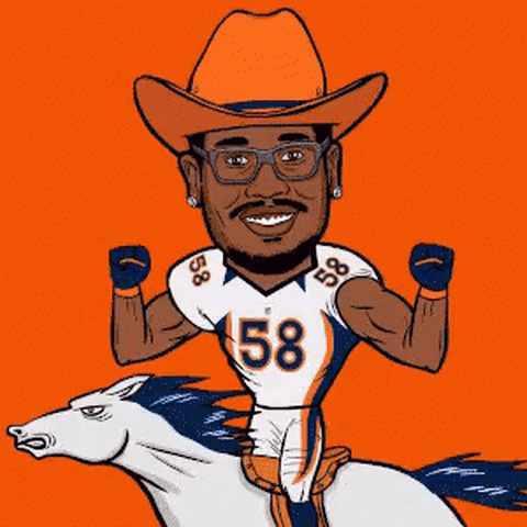 nfl von miller