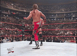 hulk hogan brett hart shawn micheals