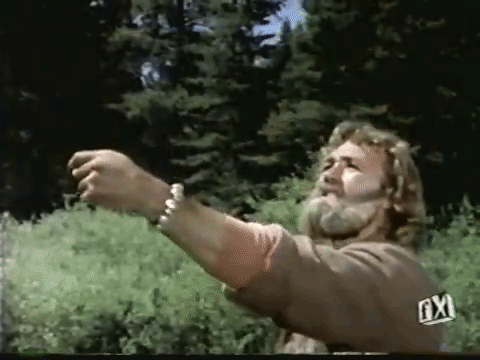 hawk grizzly adams dan haggerty