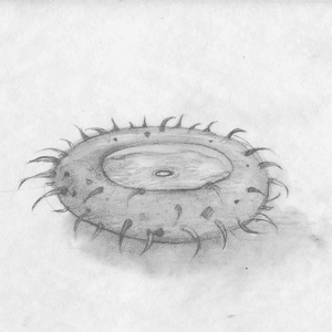 mirandapfeiffer art miranda pfeiffer