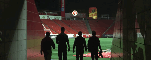 football soccer futbol