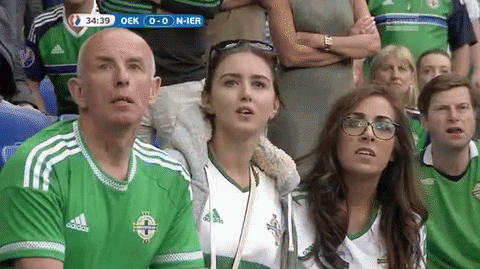 sporzaredactie ireland euro2016 northernireland