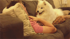 monster puppy gif happy tag