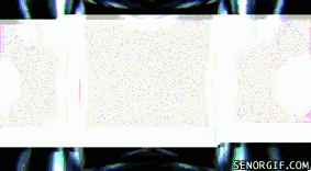 cheezburger music video technology