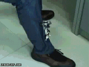 cheezburger other robots