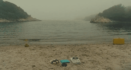 moonrise kingdom