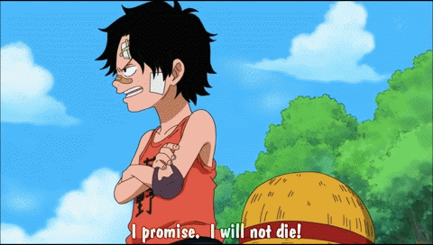 one piece op