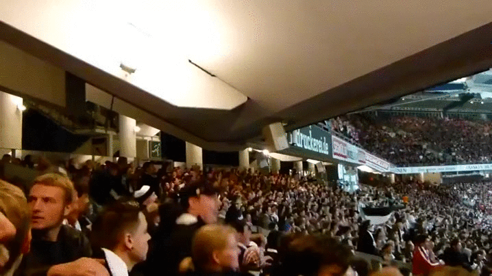 football fans stadium