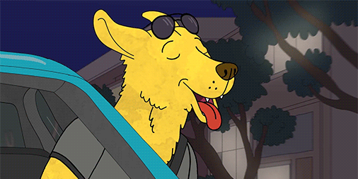 bojackhorseman driving bojack horseman mr peanutbutter