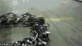 cheezburger robots terror