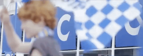 lcfc epl leicester city fc