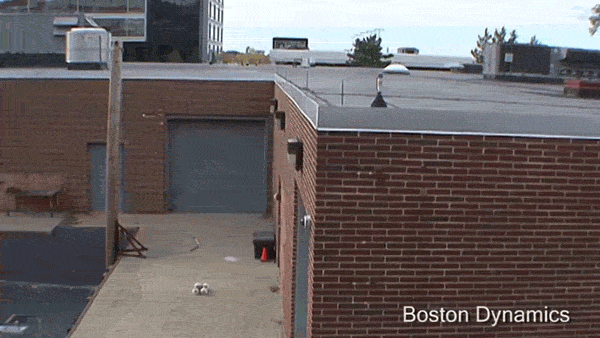 cheetah atlas factor