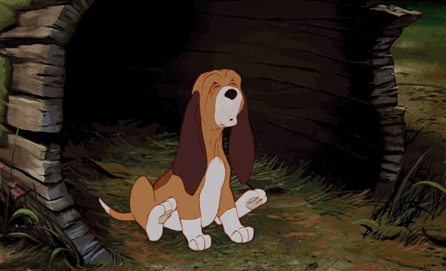 disney walt disney animation studios todd the fox and hound