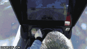 cheezburger video games win cars