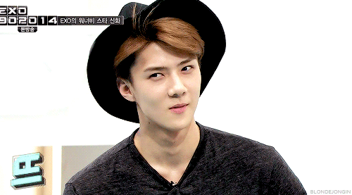 exo gif sehun jungkook af