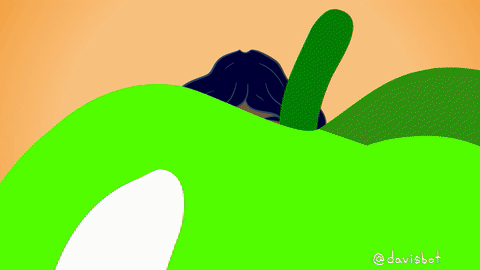 snapchat filter flower crown