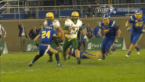 ndsuathletics bison ndsu north dakota state